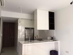 Palm Isles (D17), Condominium #582420111